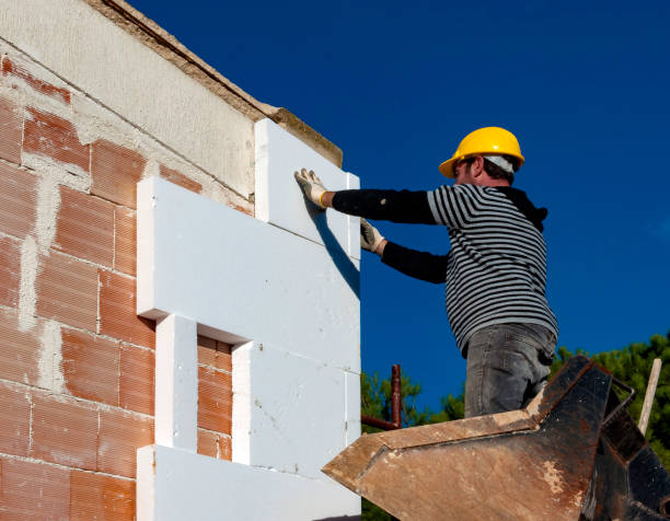 Best Insulation Maintenance and Repair in Marion Oaks, FL