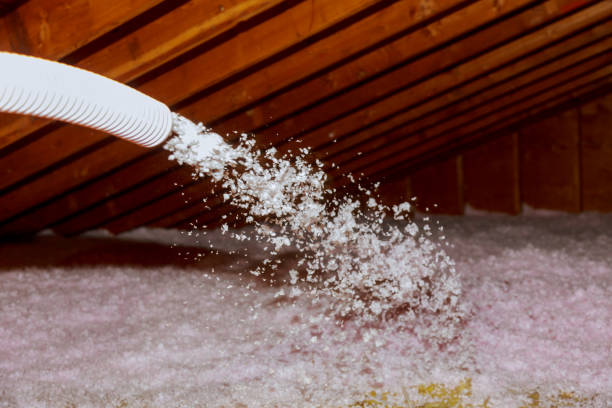 Best Insulation for Specific Applications in Marion Oaks, FL